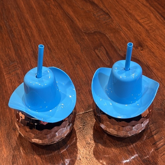 2 CUPS! New, Never Used! 20 fl oz (591mL) COWGIRL Cold Beverage Only - Picture 3 of 8